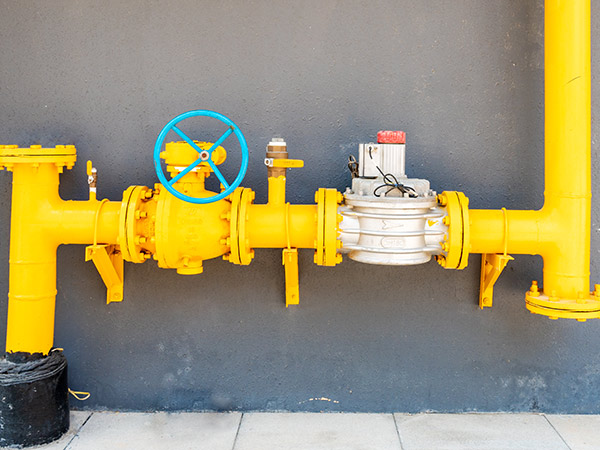 ��ҳ|�����������ǲ��������